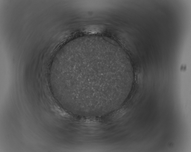 X0000111531393200907281351