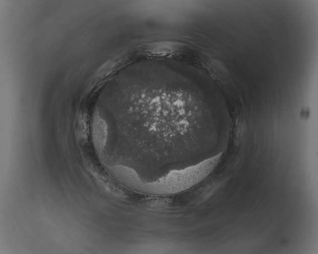 X0000111531394200907281351