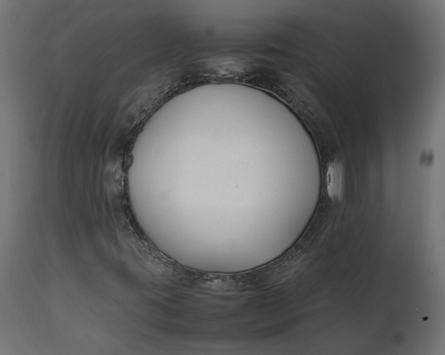 X0000111531395200907281351