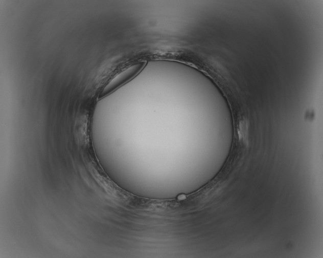 X0000111531396200907281351