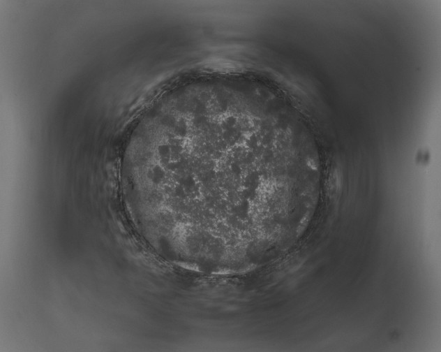 X0000111531397200907281351