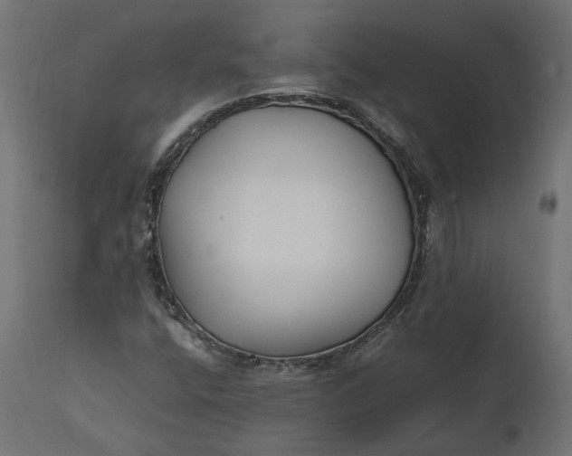 X0000111531400200907281351