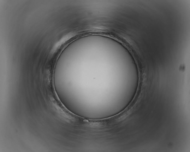 X0000111531402200907281351