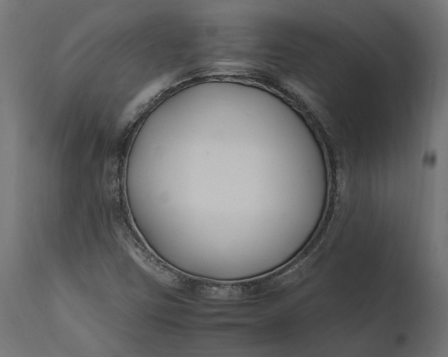 X0000111531403200907281351