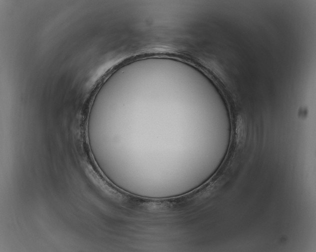 X0000111531404200907281351