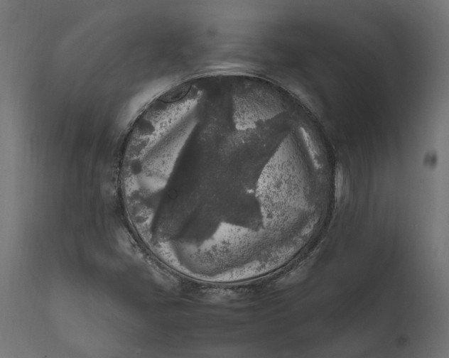 X0000111531405200907281351