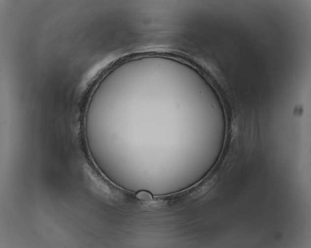 X0000111531406200907281351