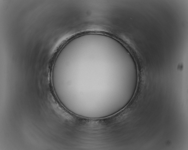 X0000111531408200907281352