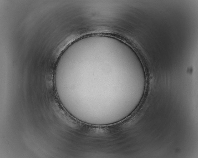 X0000111531409200907281352