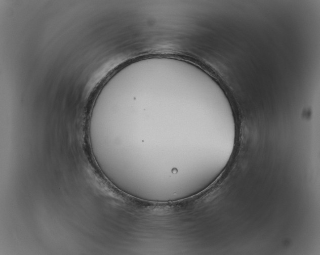 X0000111531410200907281352