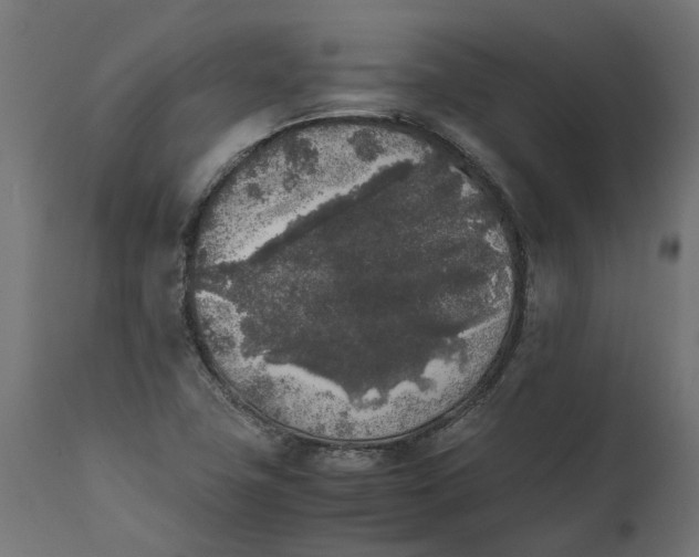 X0000111531411200907281352