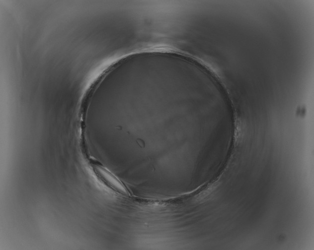 X0000111531414200907281352