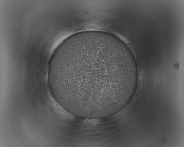 X0000111531415200907281352