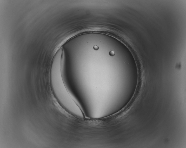 X0000111531417200907281352