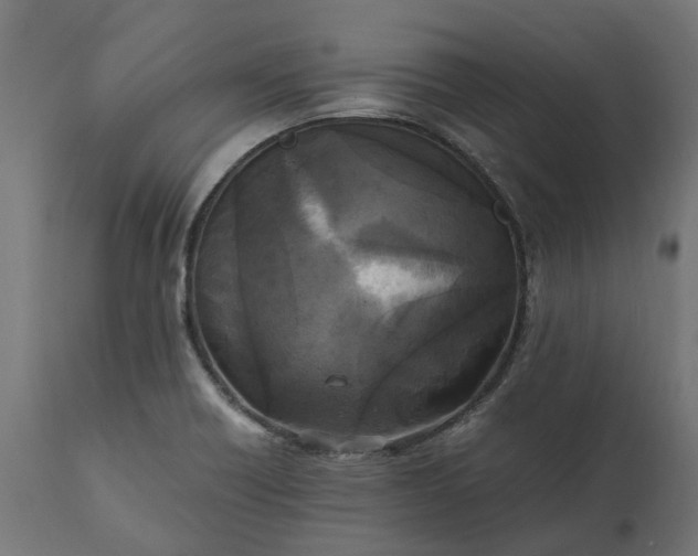 X0000111531418200907281352