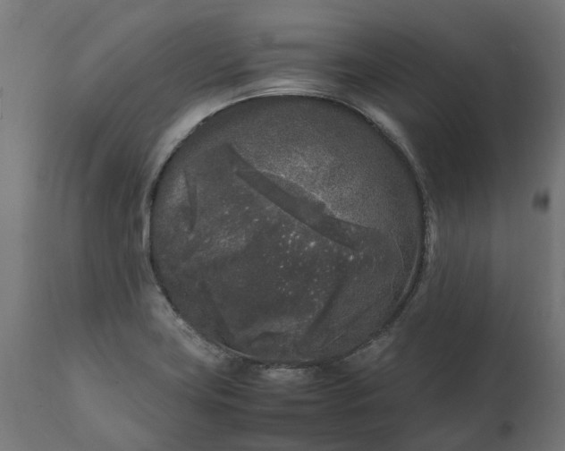 X0000111531419200907281352