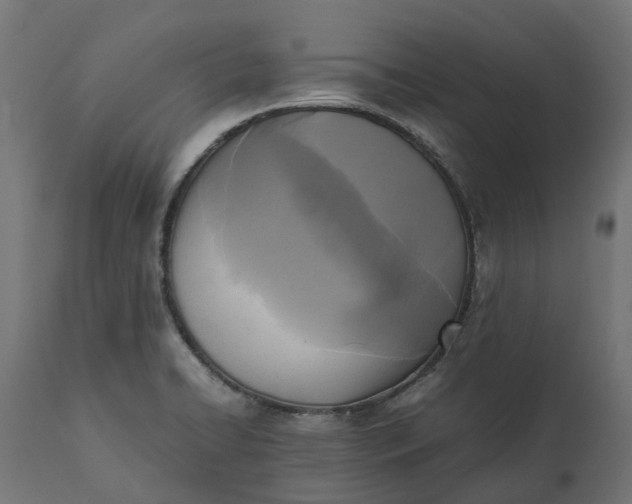 X0000111531422200907281352