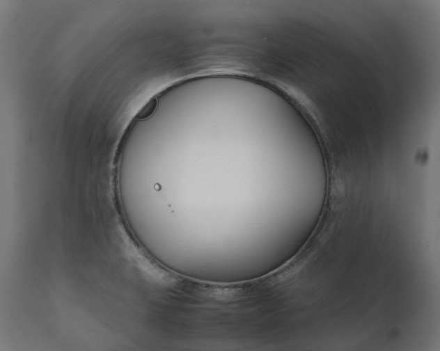 X0000111531423200907281352