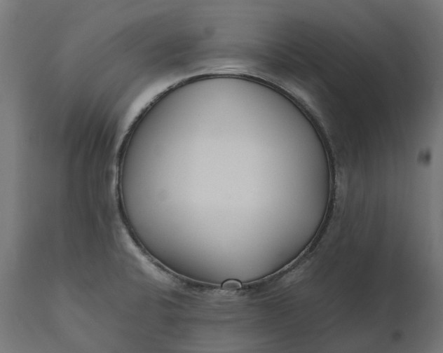 X0000111531424200907281352