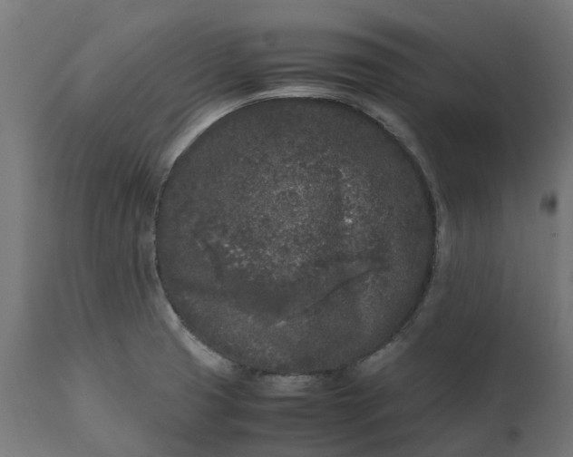 X0000111531425200907281352