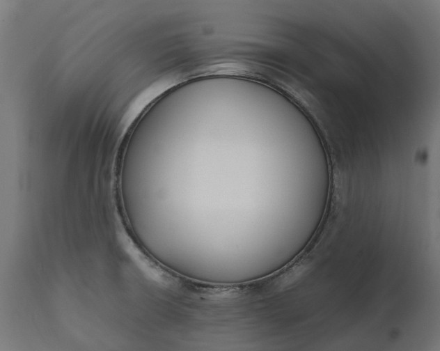 X0000111531426200907281352