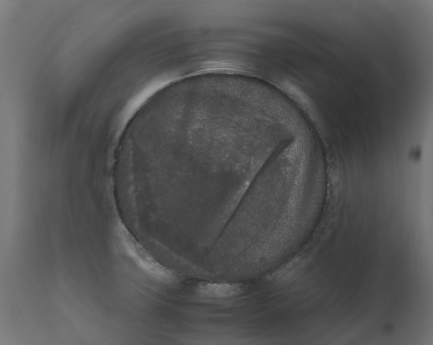 X0000111531427200907281352