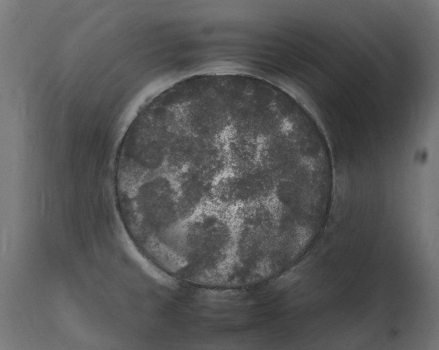 X0000111531429200907281352