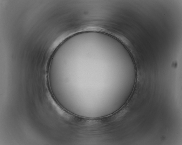 X0000111531430200907281352