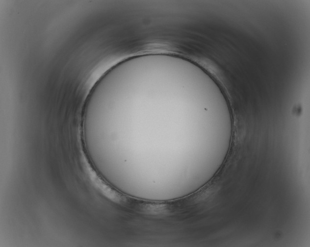 X0000111531431200907281352