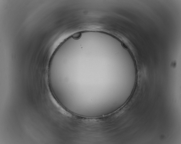 X0000111531432200907281352