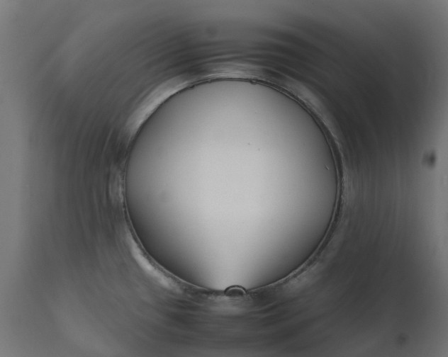 X0000111531433200907281352