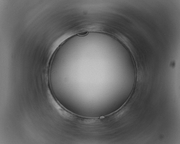 X0000111531434200907281352