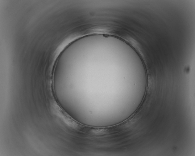 X0000111531435200907281352