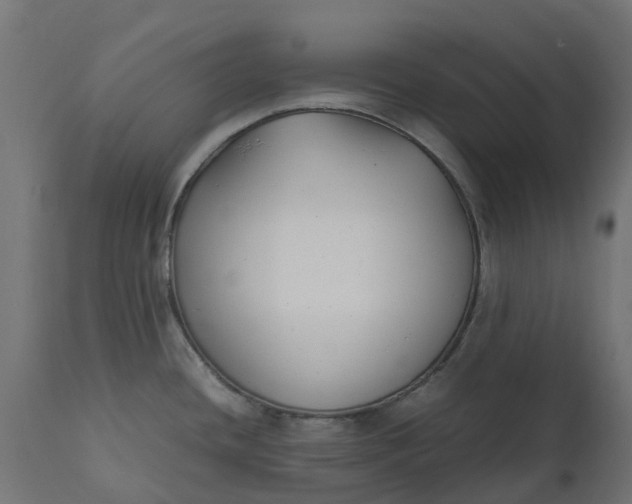 X0000111531436200907281352