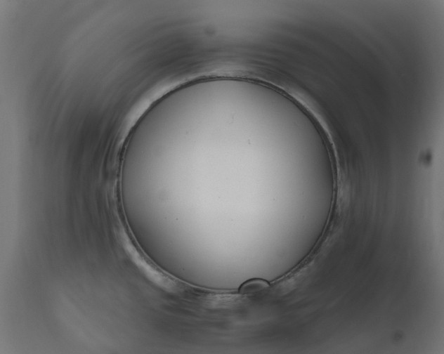 X0000111531437200907281352