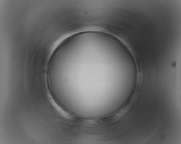 X0000111531438200907281352