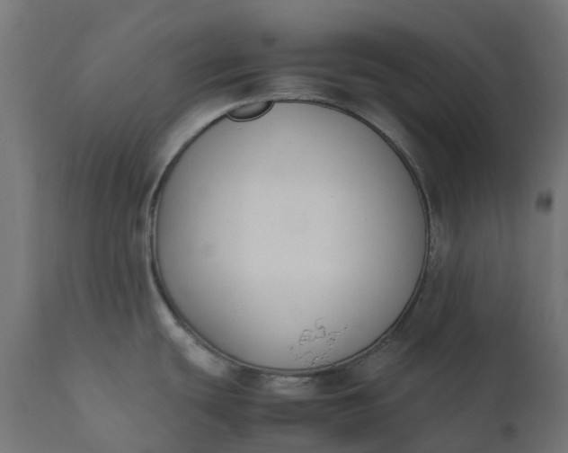 X0000111531439200907281352