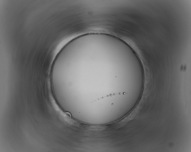 X0000111531440200907281352