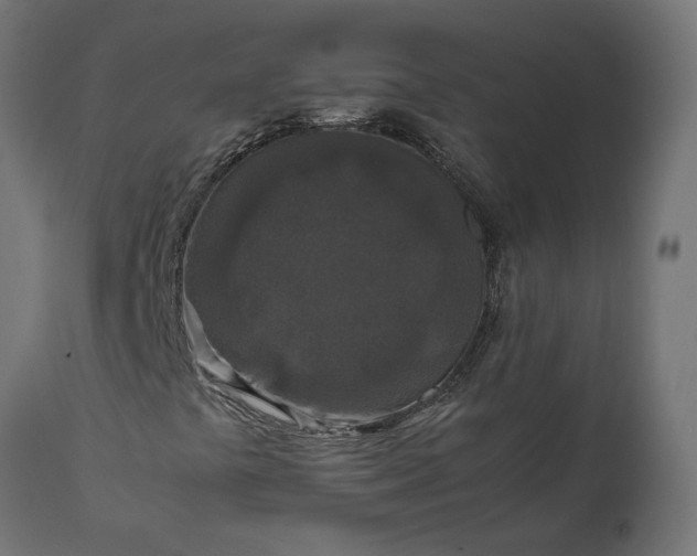 X0000111531441200907281351