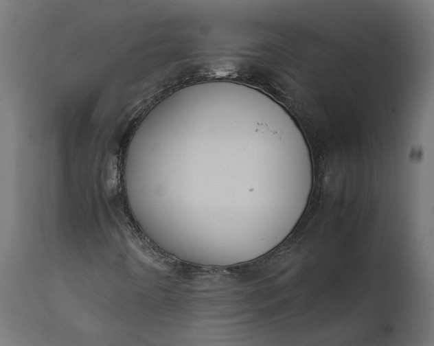 X0000111531442200907281351