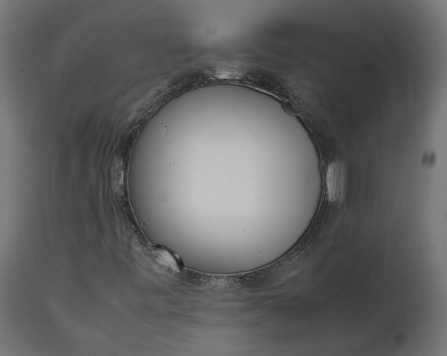 X0000111531443200907281351