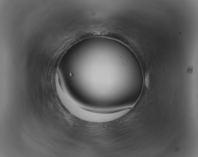 X0000111531444200907281351