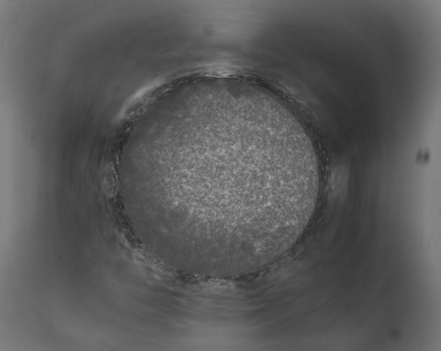 X0000111531446200907281351