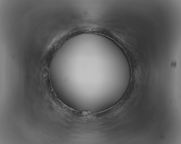 X0000111531447200907281351