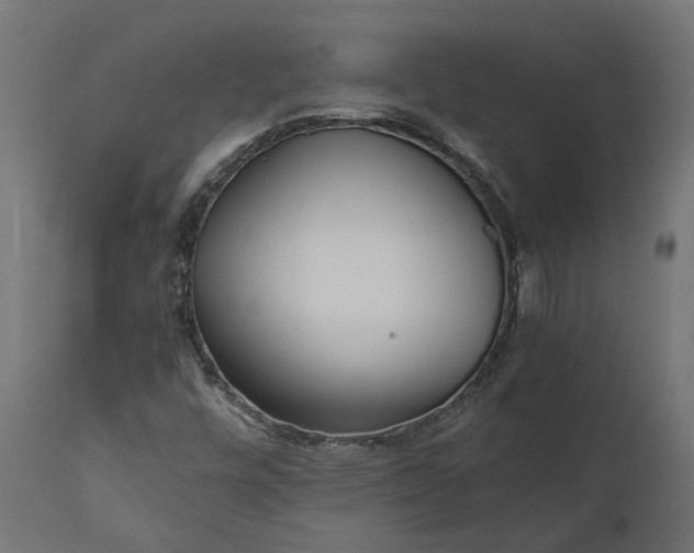 X0000111531448200907281351