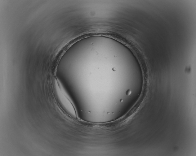 X0000111531449200907281351