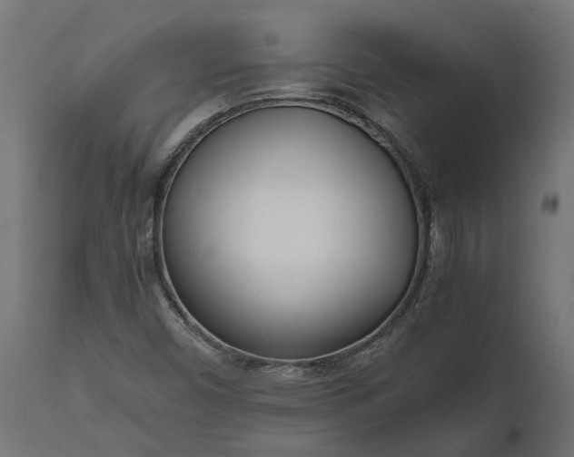 X0000111531450200907281351