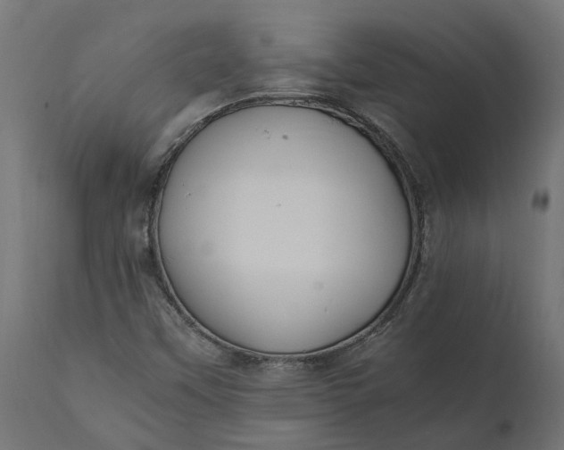 X0000111531451200907281351