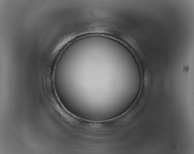 X0000111531452200907281351