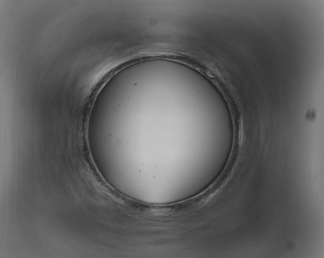 X0000111531453200907281351